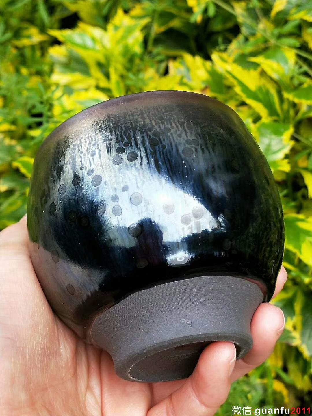 mmexport1521272892169