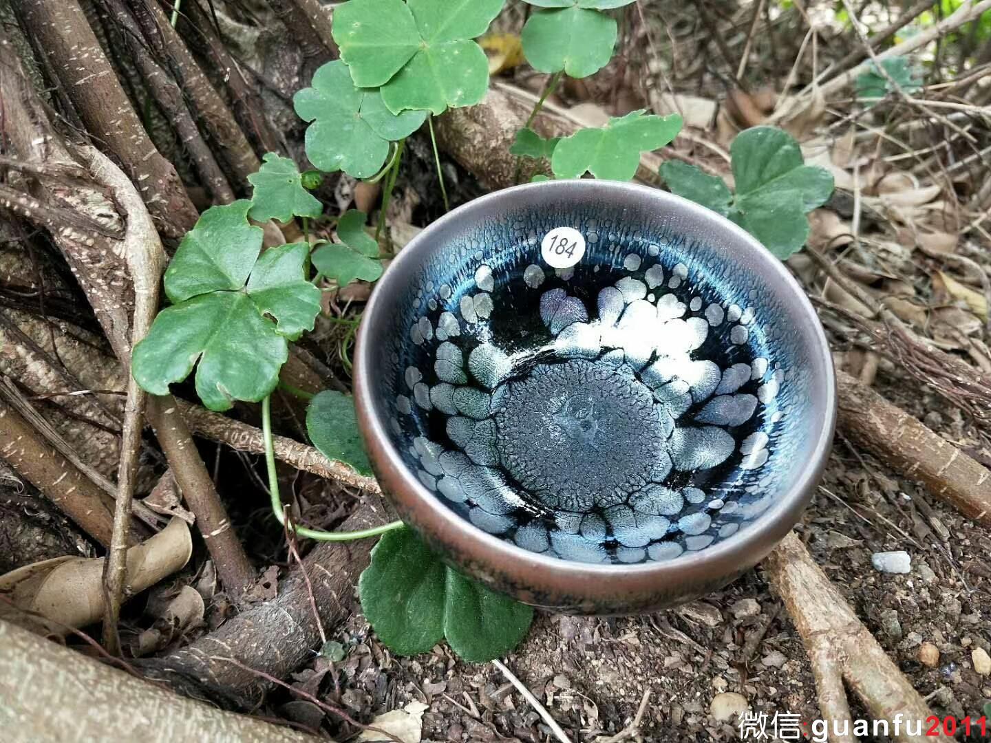 mmexport1521275036724