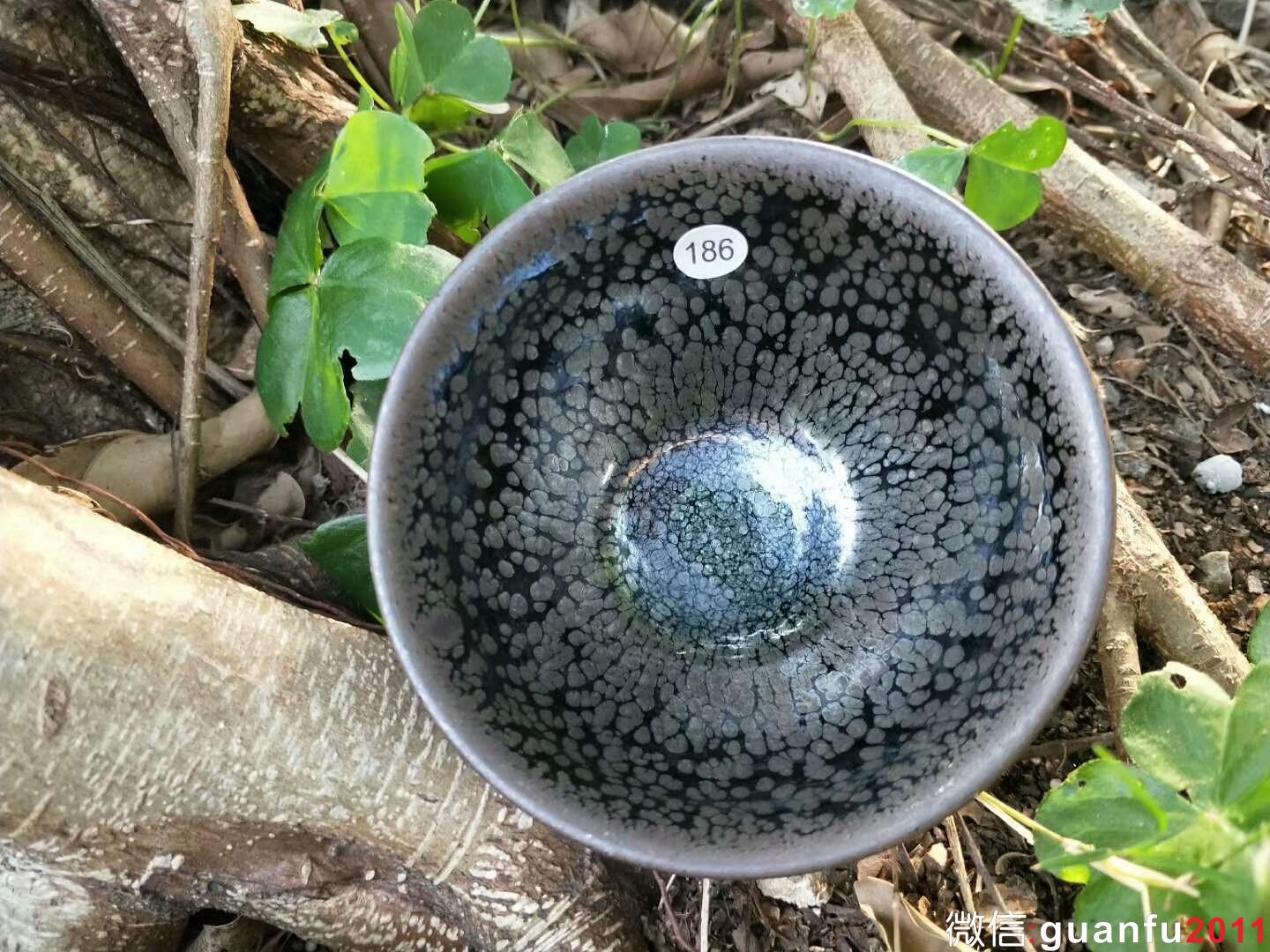 mmexport1521280926801