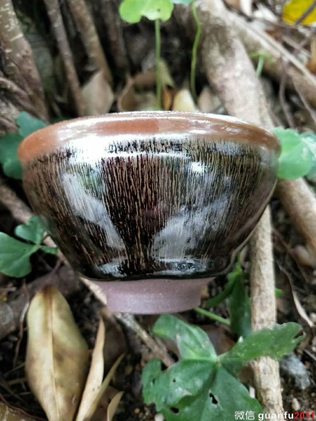 mmexport1522308820535