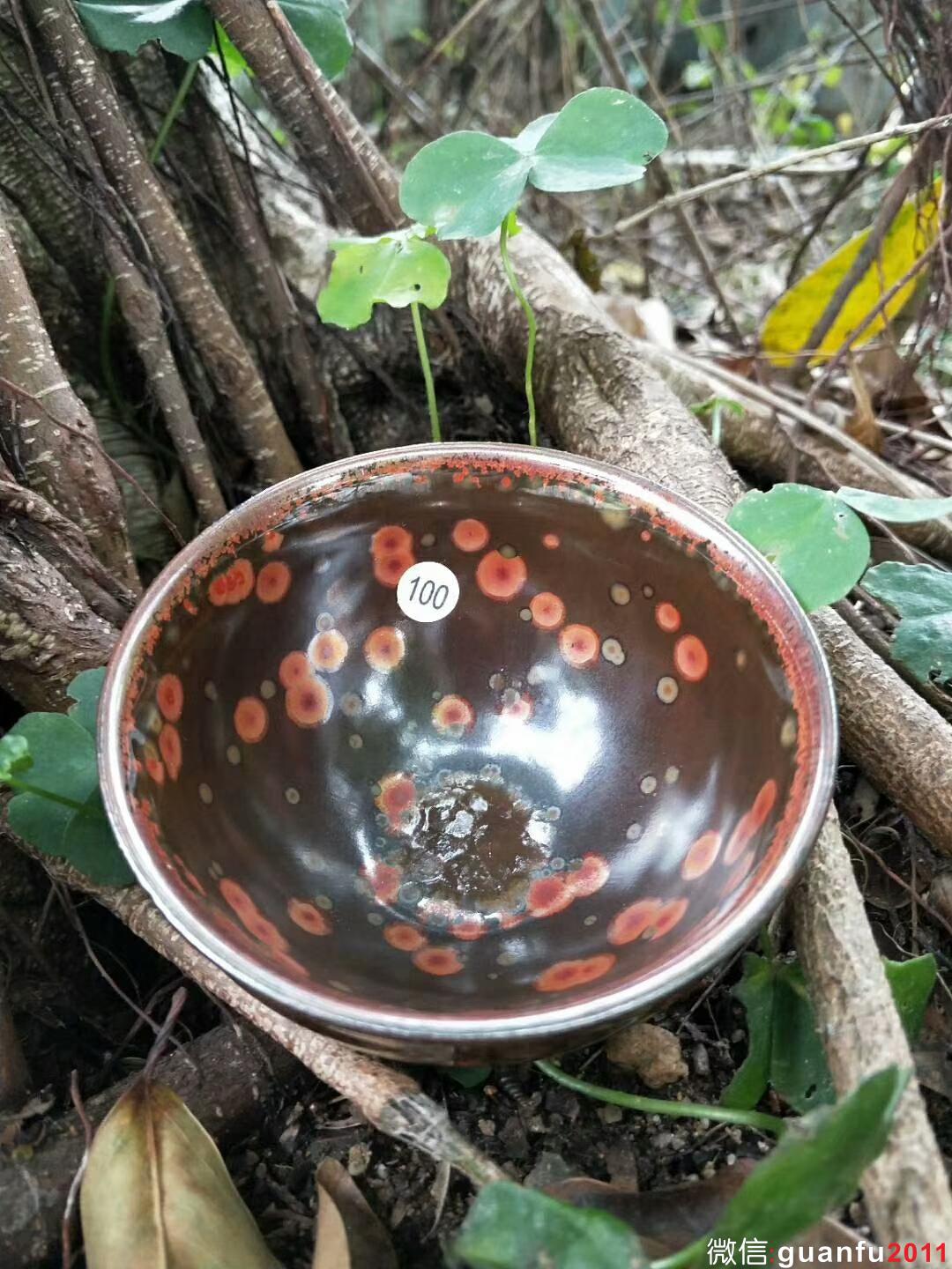 mmexport1522308931170