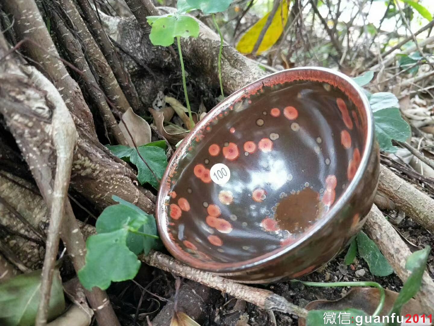 mmexport1522308933419