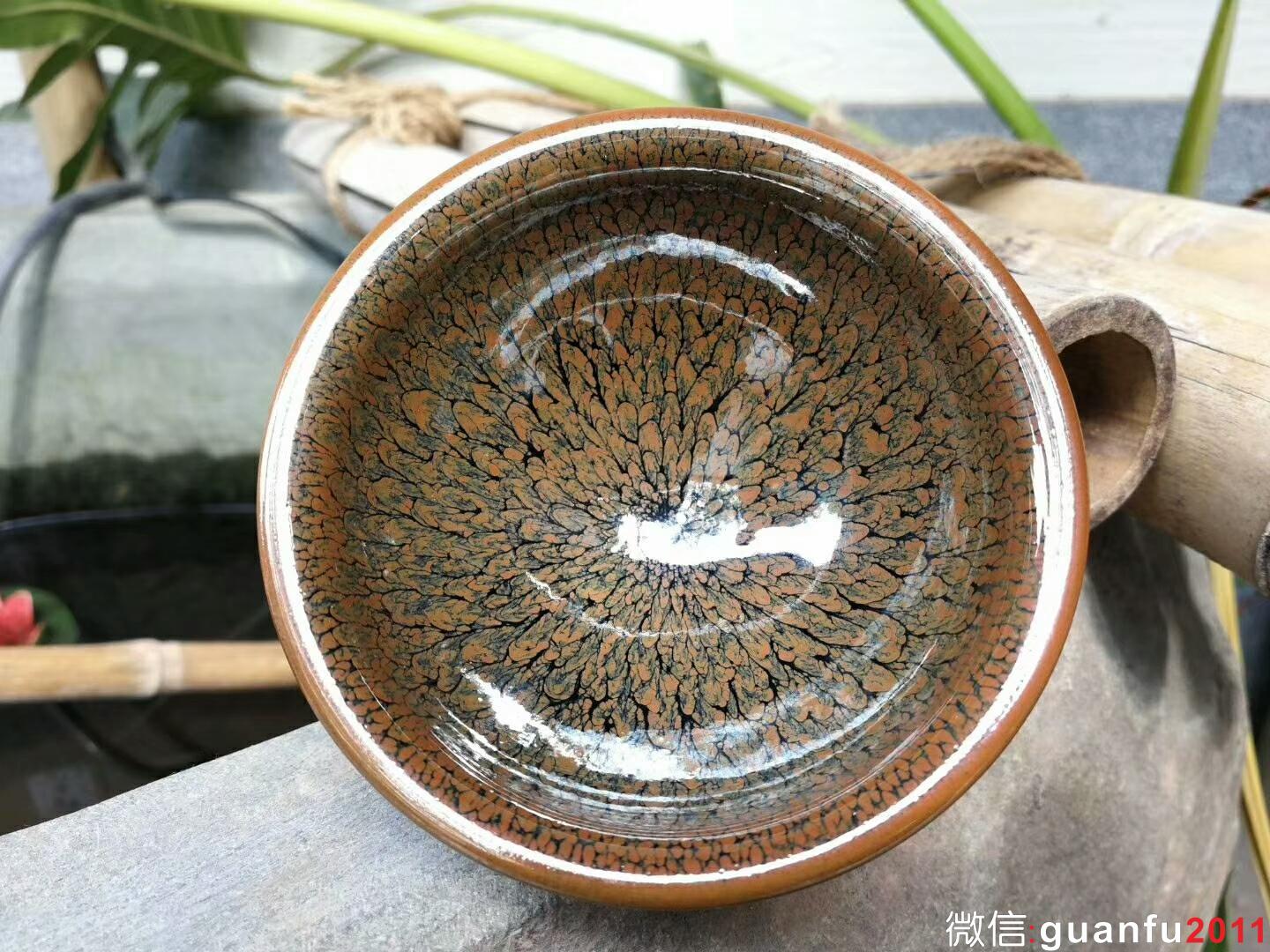 mmexport1522311125555