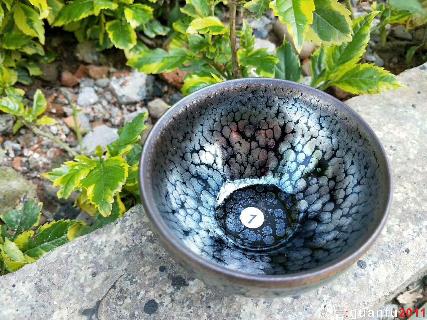 mmexport1522324250621