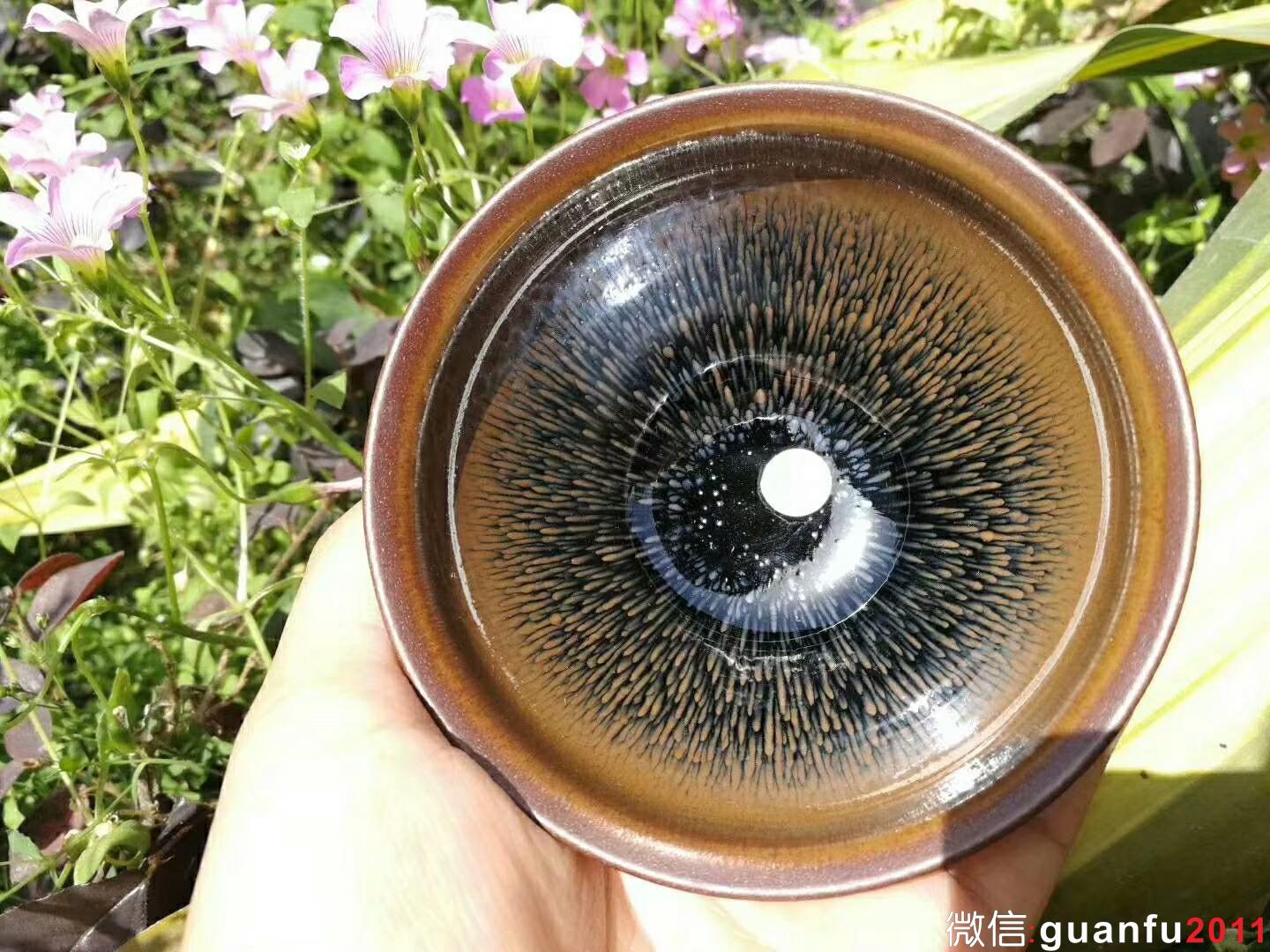 mmexport1523260140500