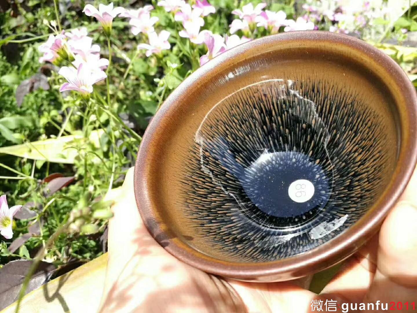 mmexport1523260146642