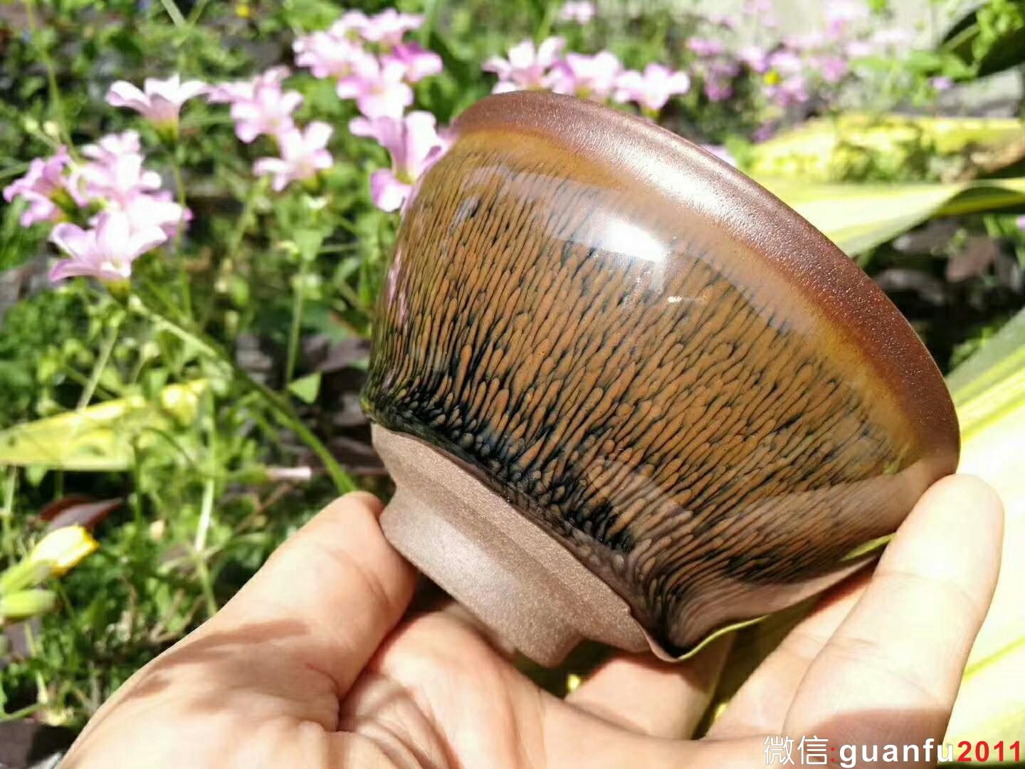 mmexport1523260149160