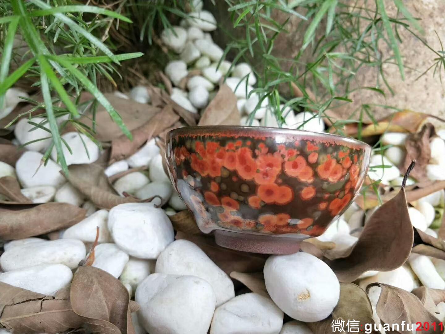 mmexport1523518908578