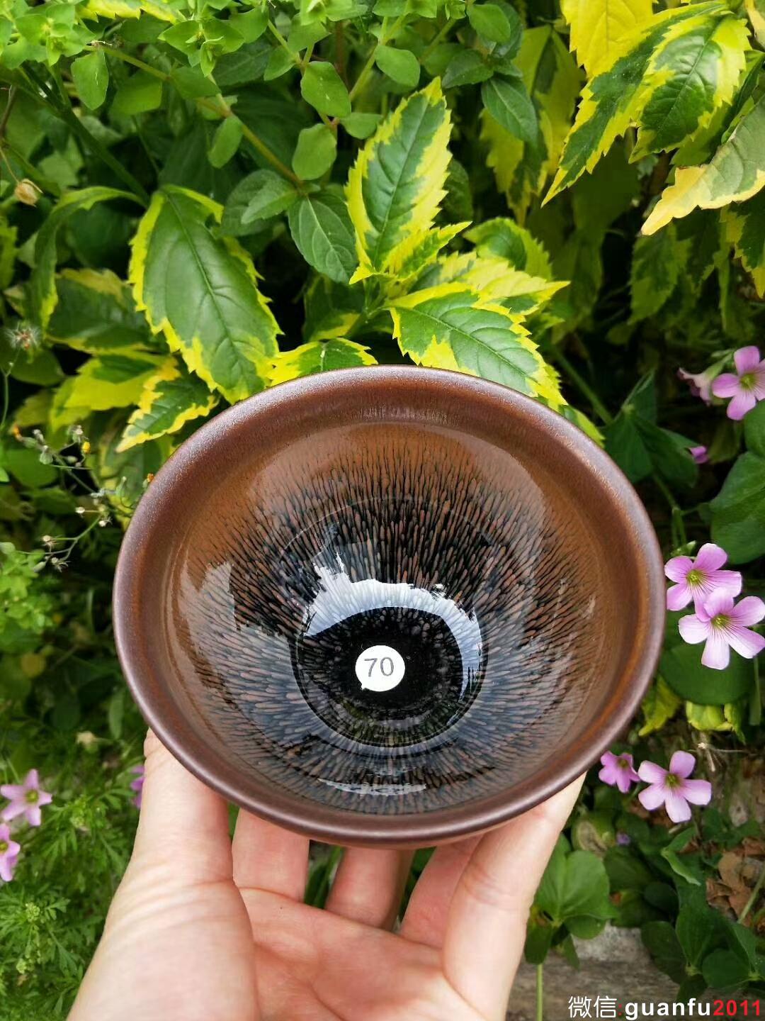 mmexport1523519166380