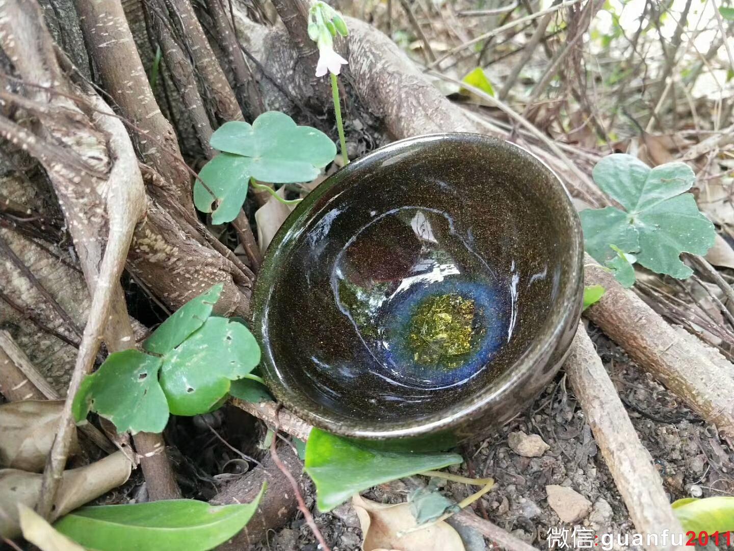 mmexport1523520412319