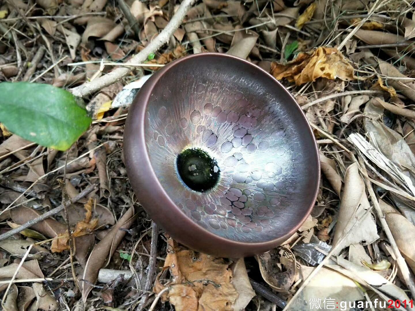 mmexport1523764978818