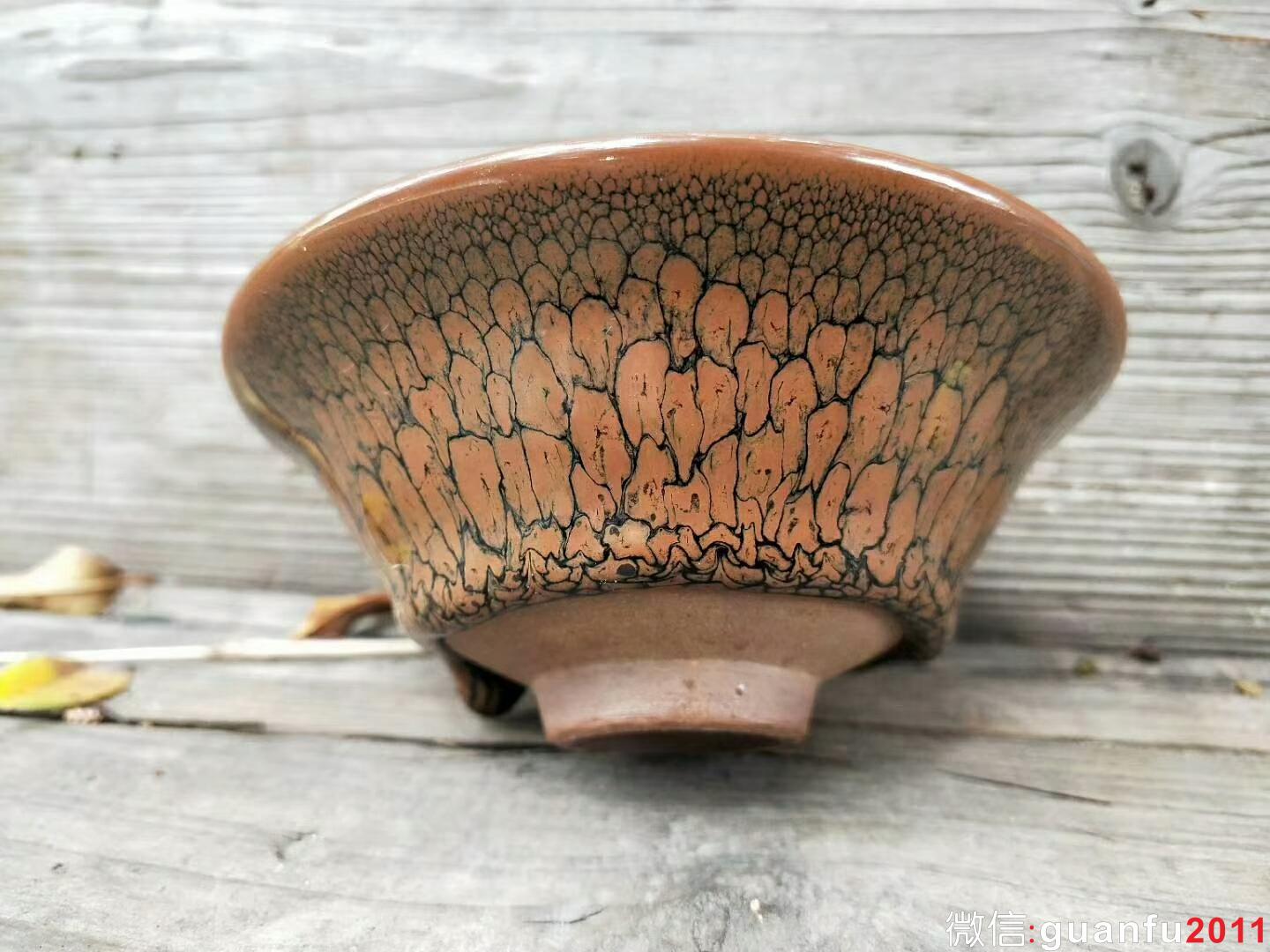 mmexport1523765127534