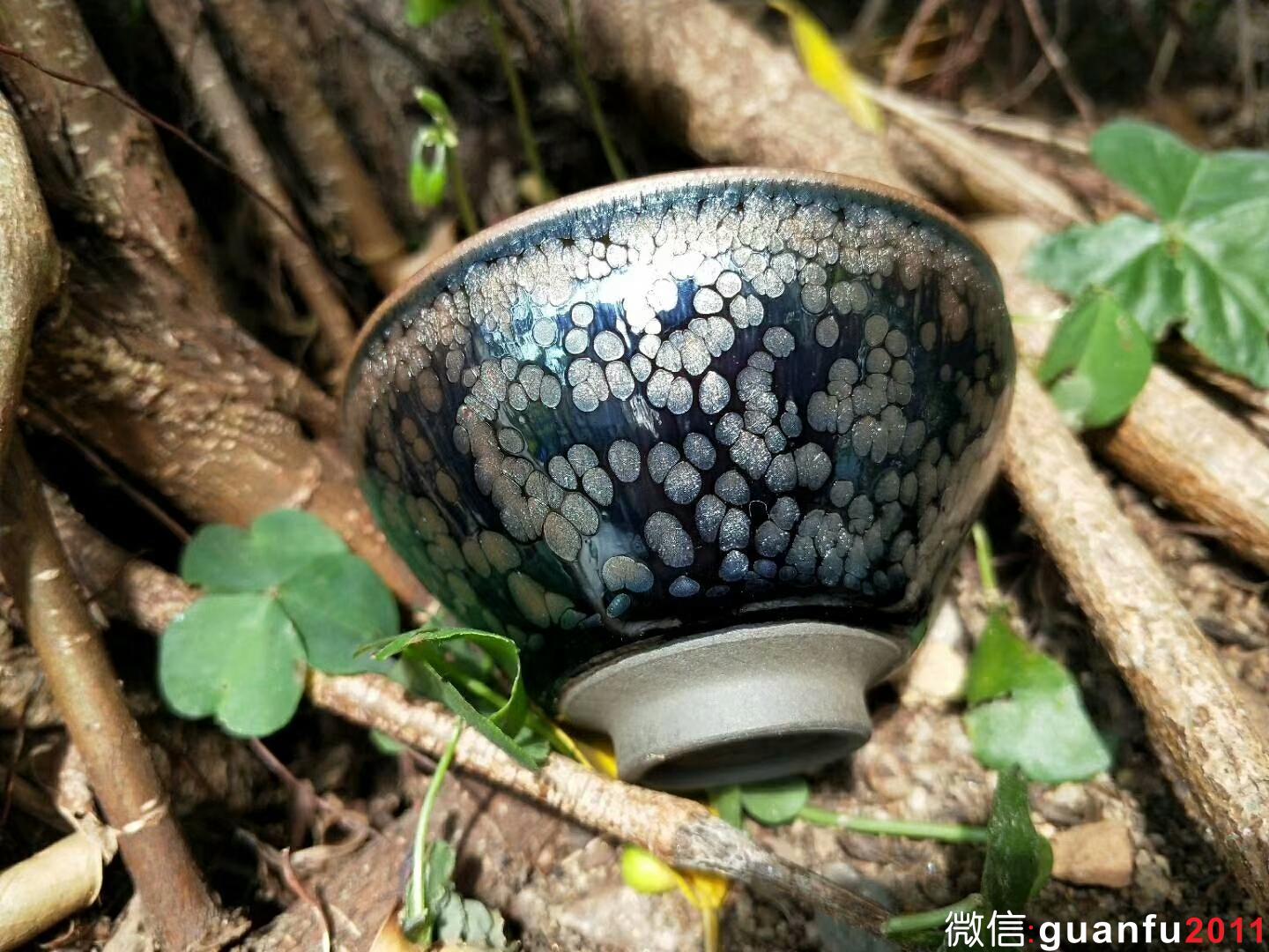 mmexport1523770421598