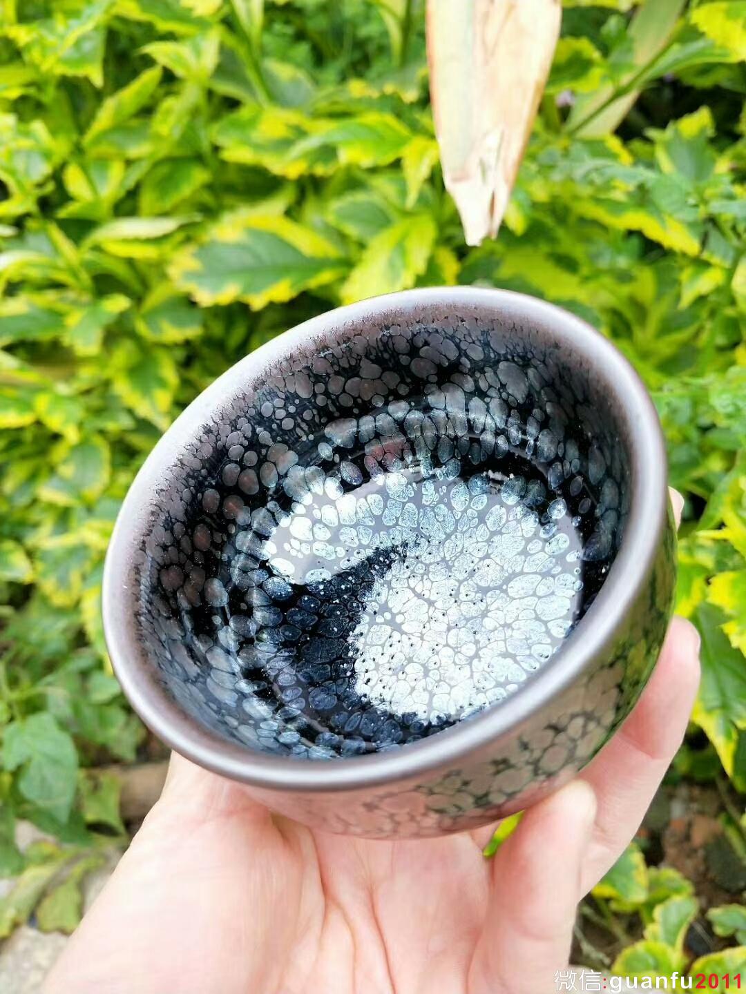 mmexport1524210224733