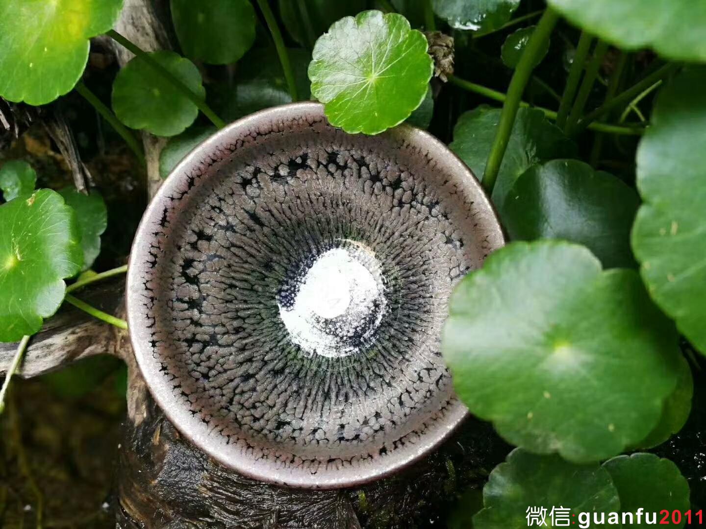 李遠(yuǎn)興 油滴盞：口徑7.5*4.5