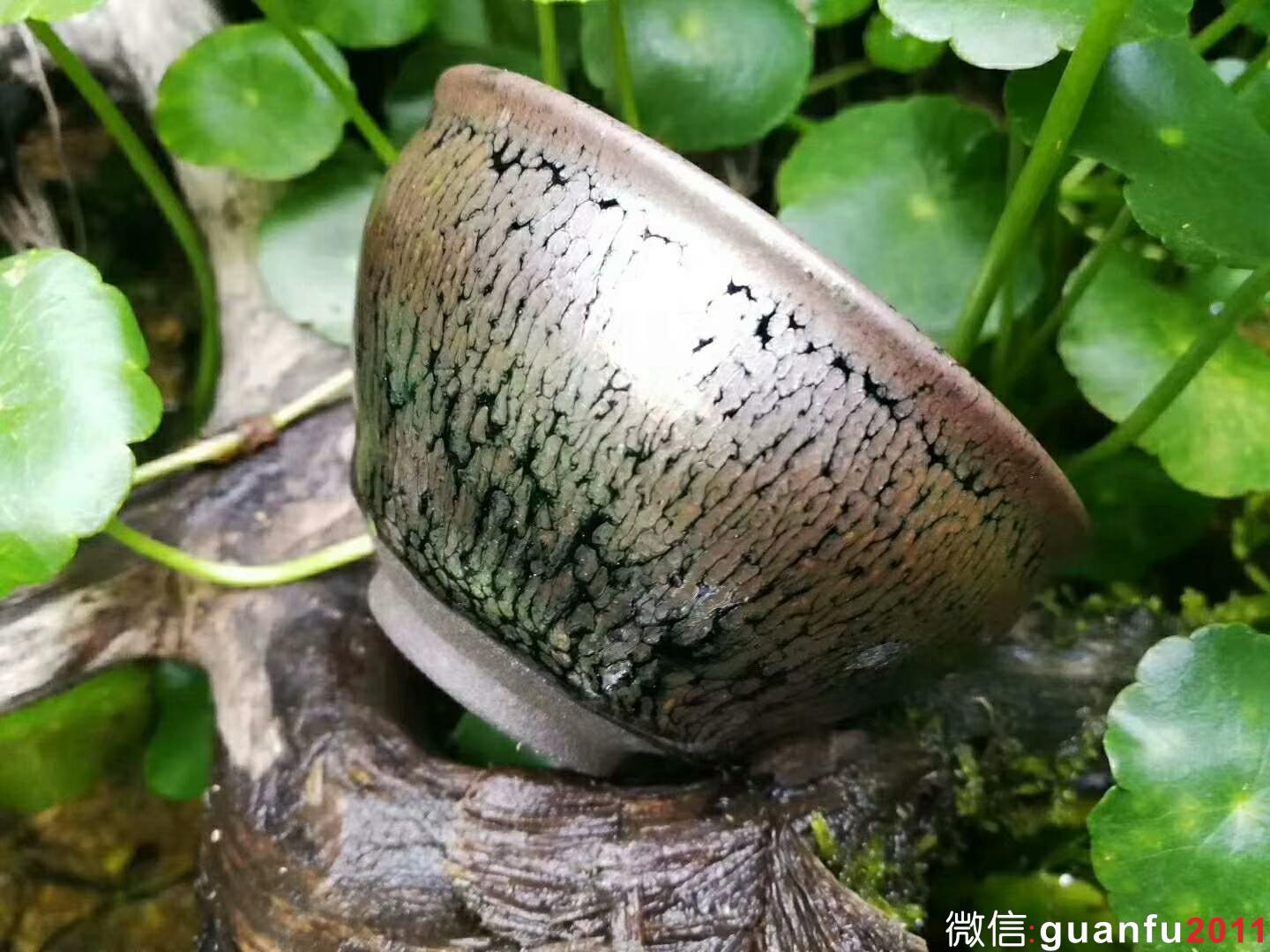 李遠(yuǎn)興 油滴盞：口徑7.5*4.5