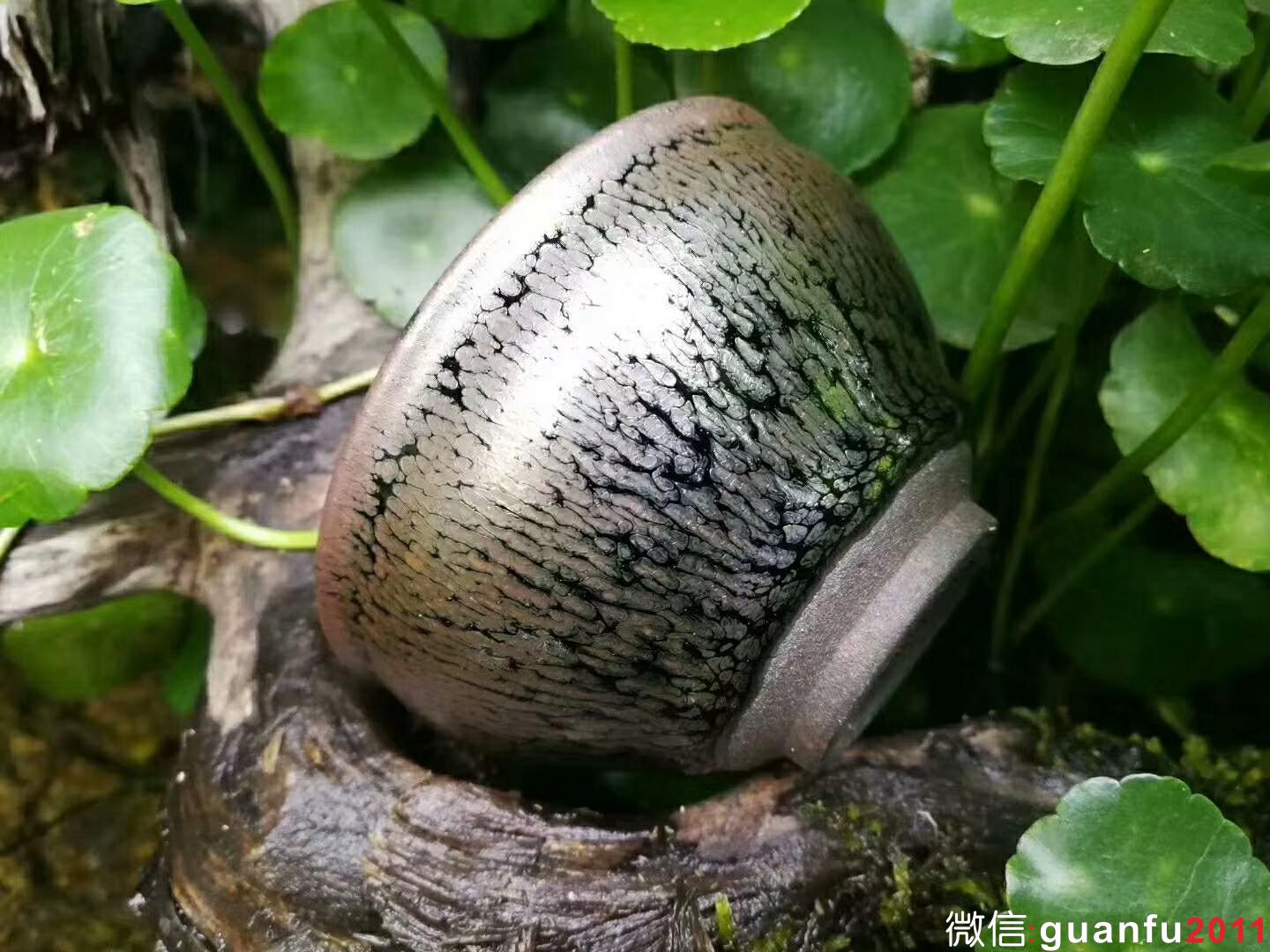 李遠(yuǎn)興 油滴盞：口徑7.5*4.5