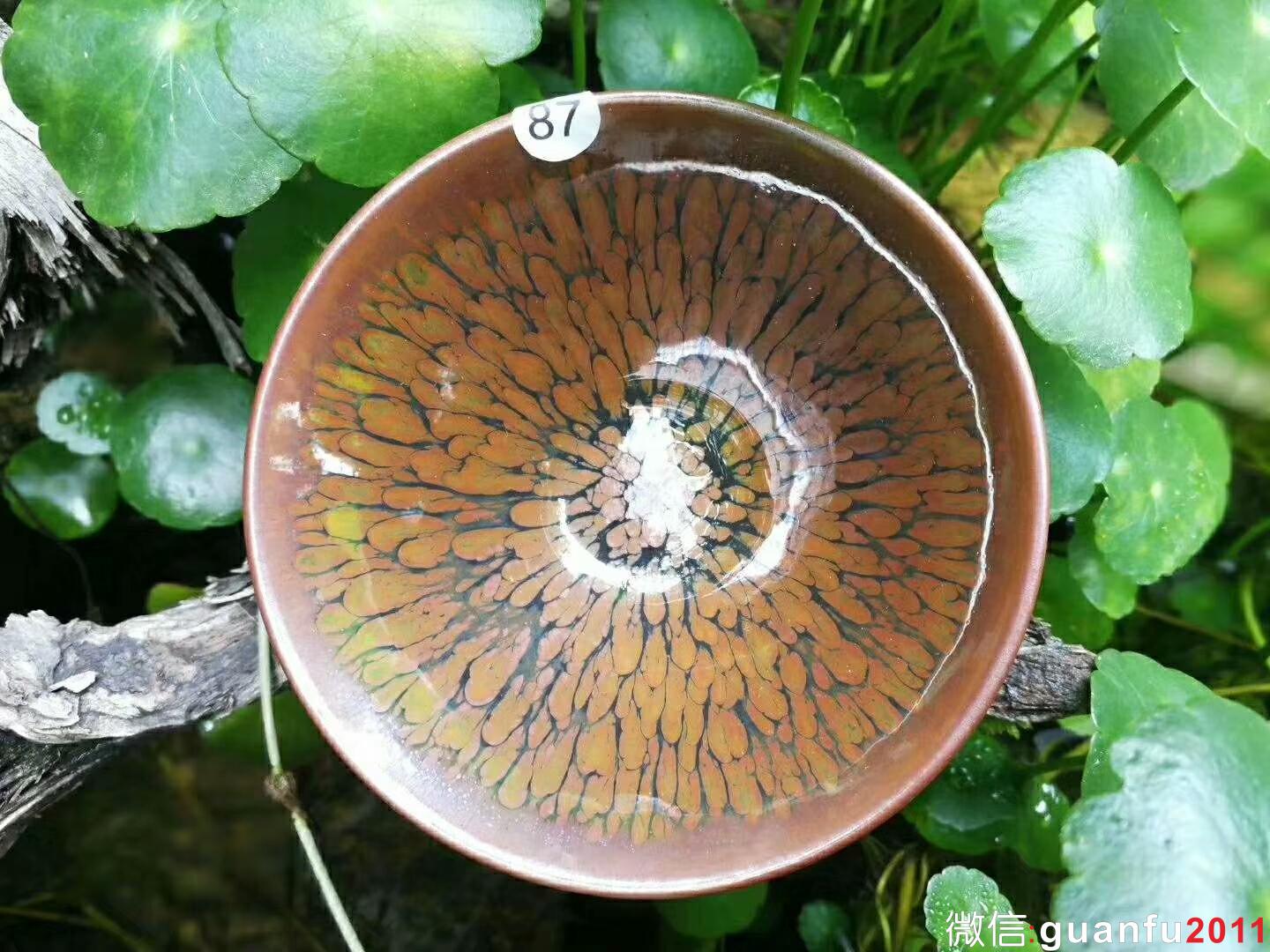 mmexport1524379184590