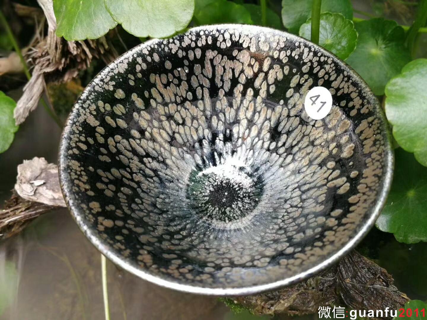 mmexport1524379801683