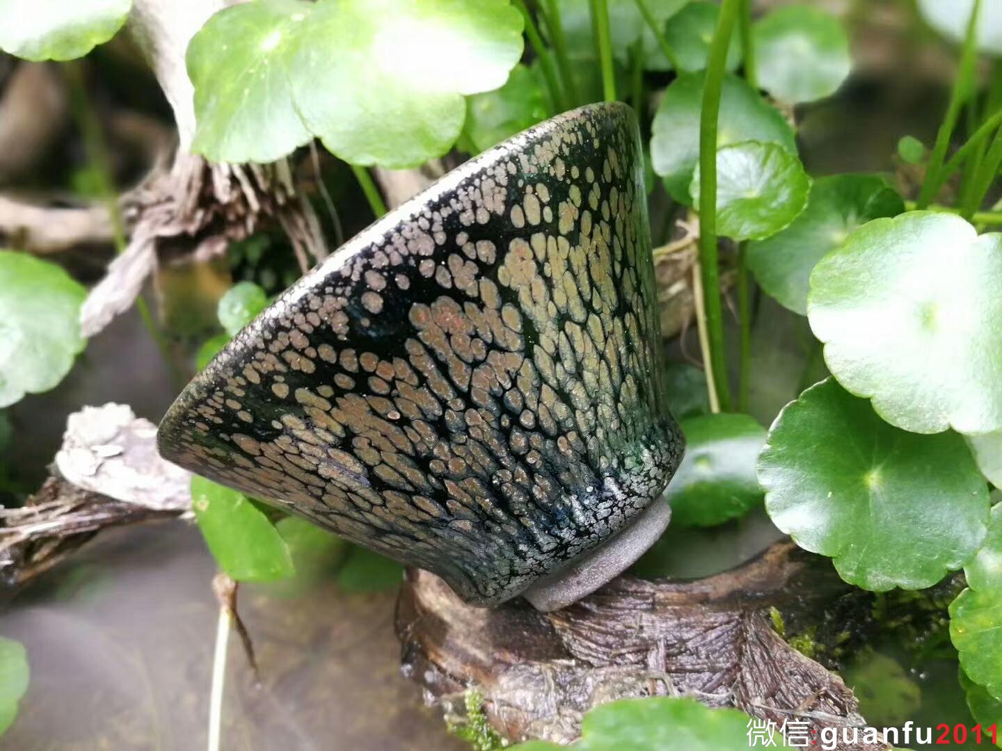 mmexport1524379820062