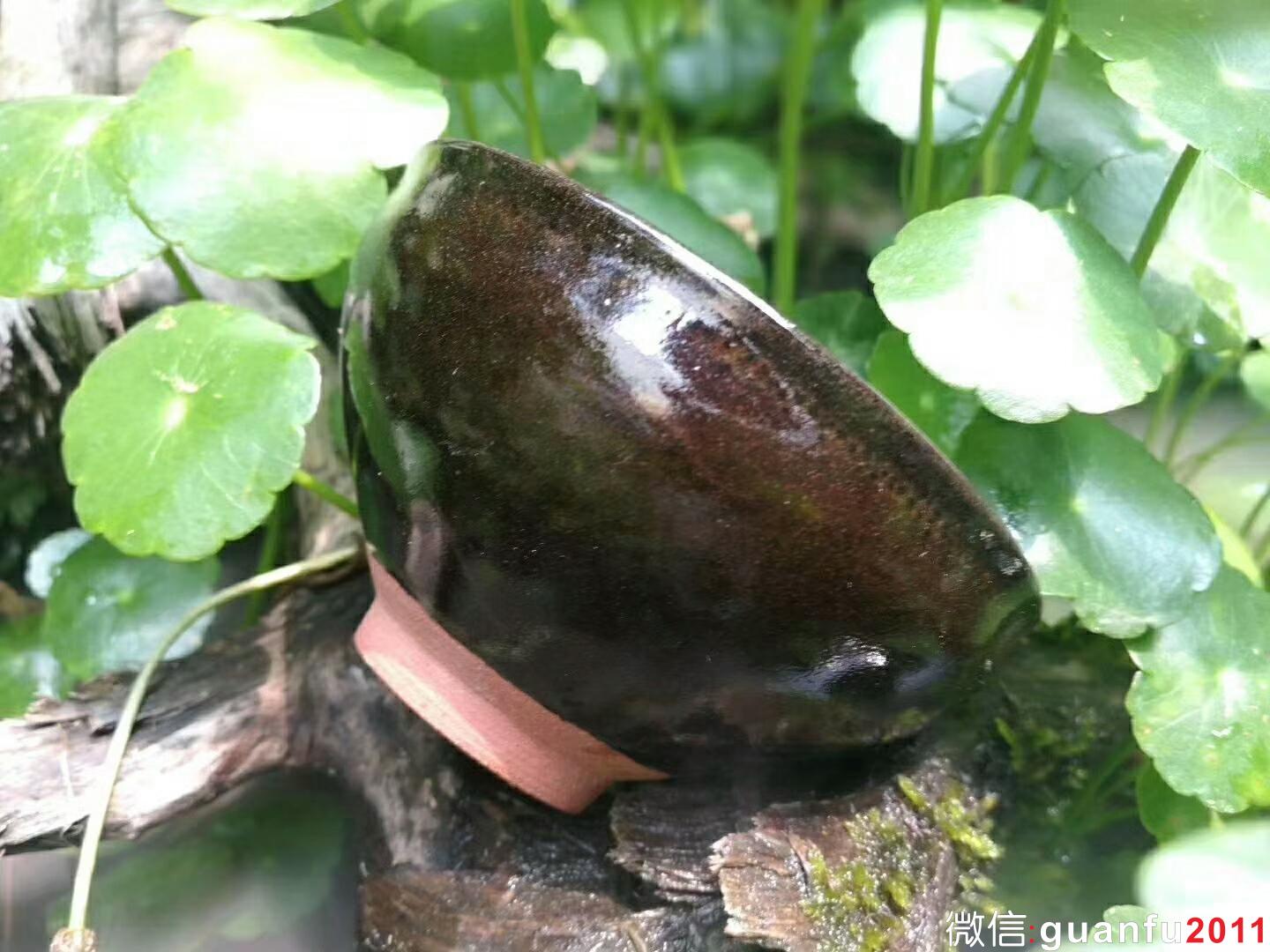 危敏捷 柴燒 金繕：口徑9*4.8