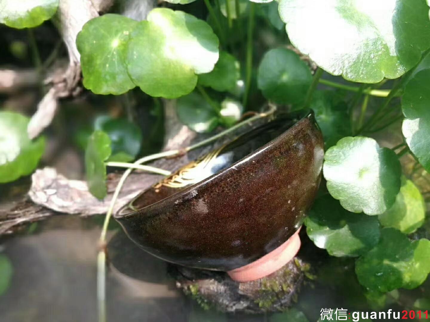 危敏捷 柴燒 金繕：口徑9*4.8