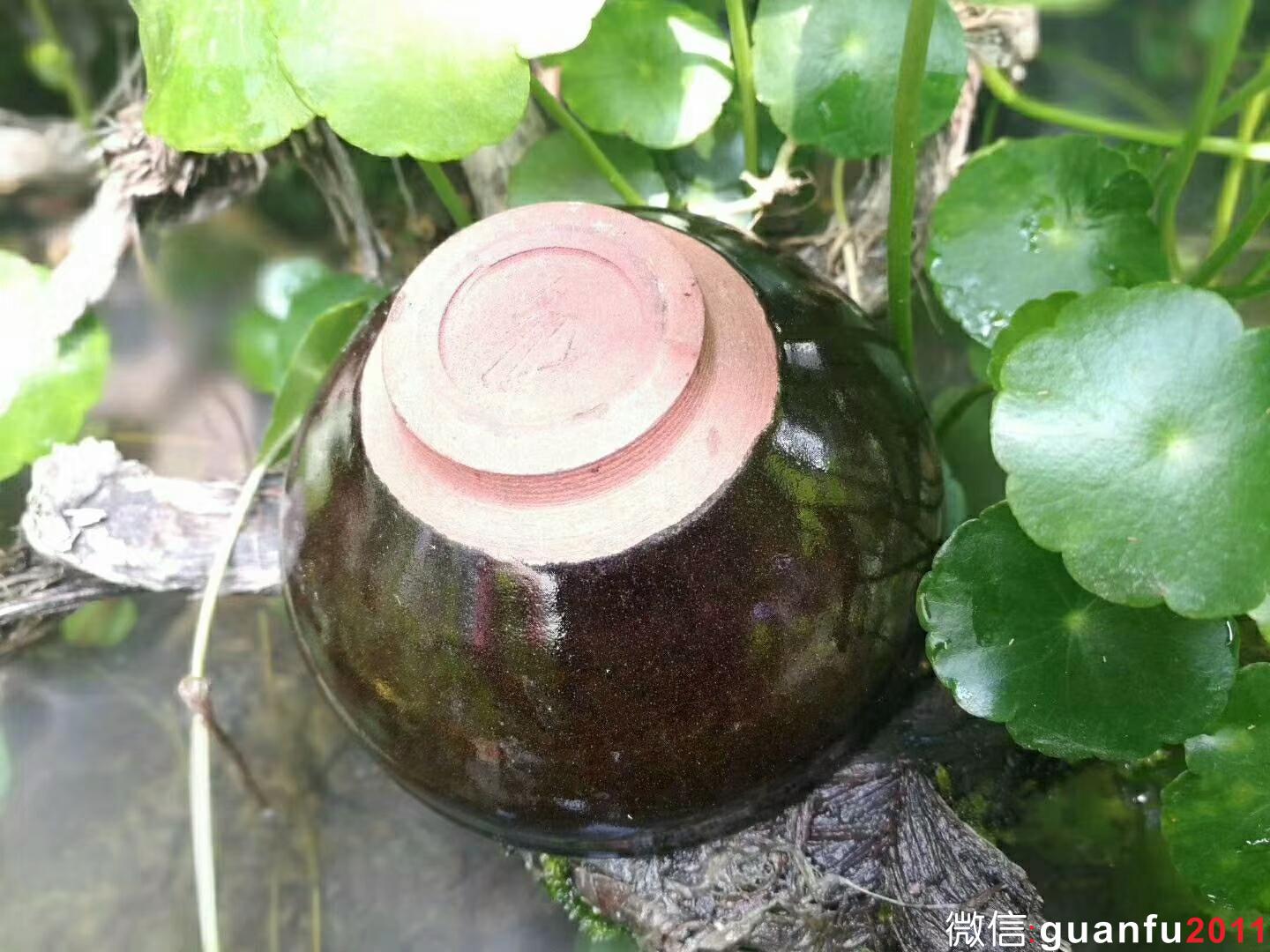 危敏捷 柴燒 金繕：口徑9*4.8