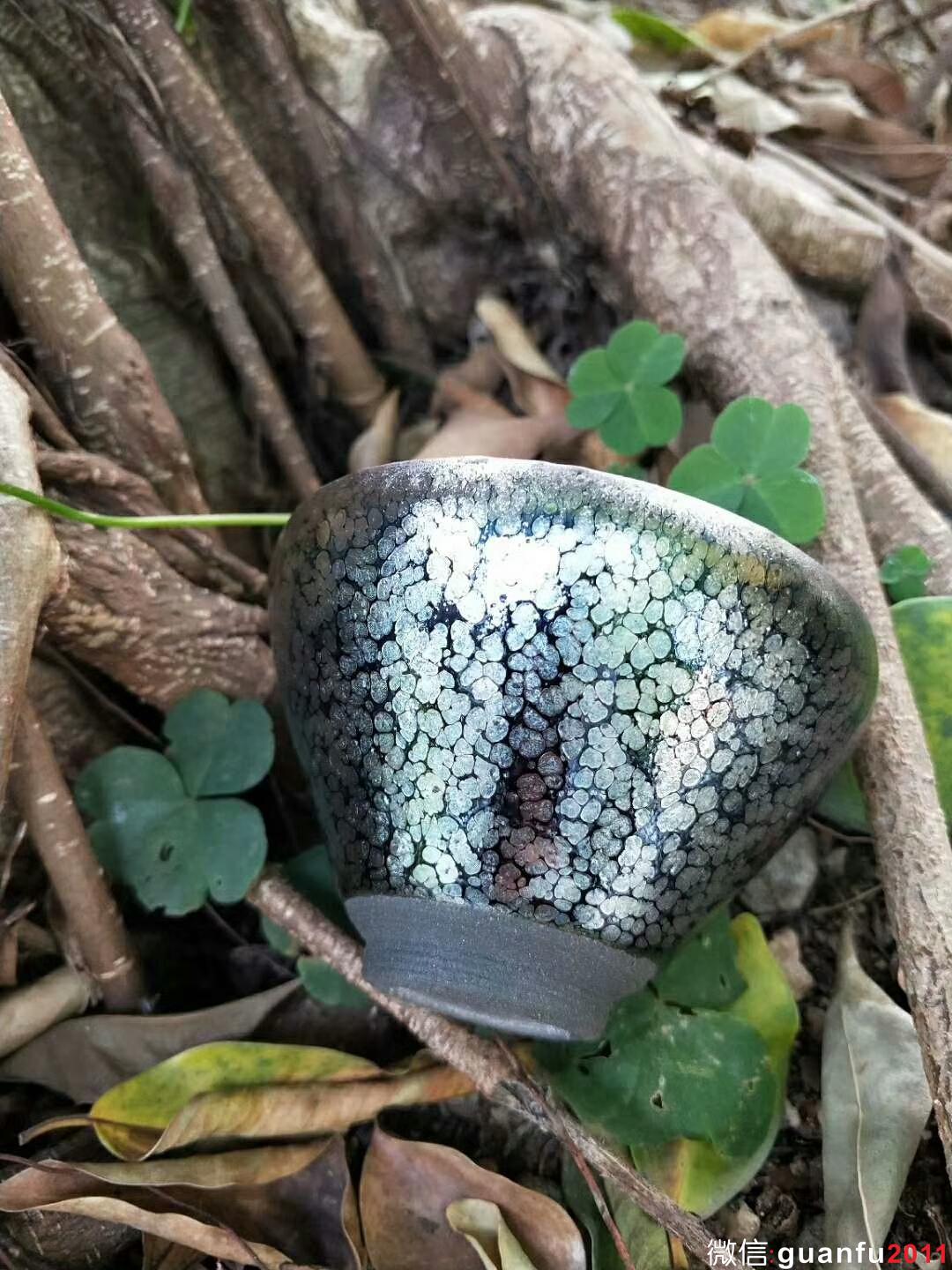 mmexport1524384578478