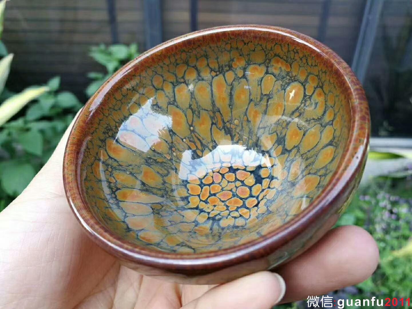 mmexport1524386951504