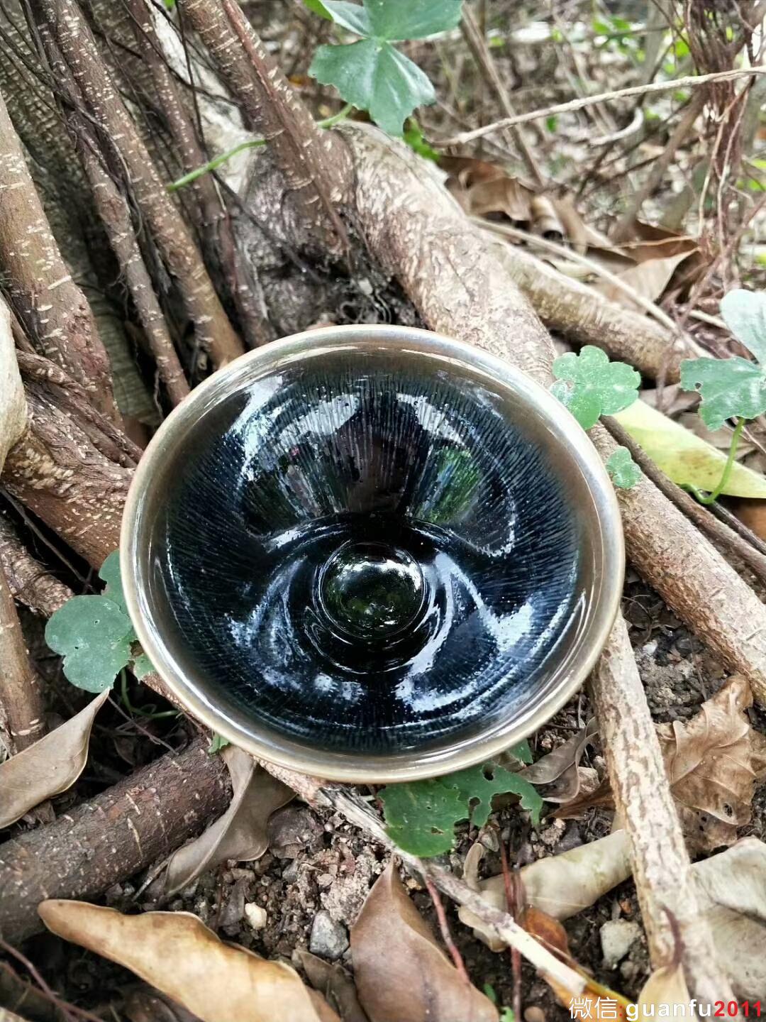 mmexport1524387819057