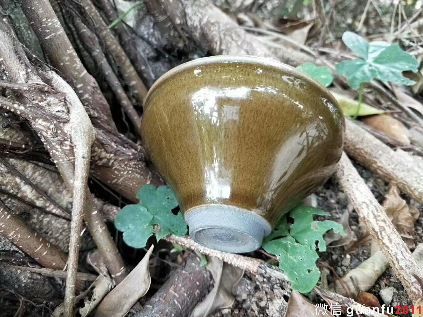 mmexport1524387824771