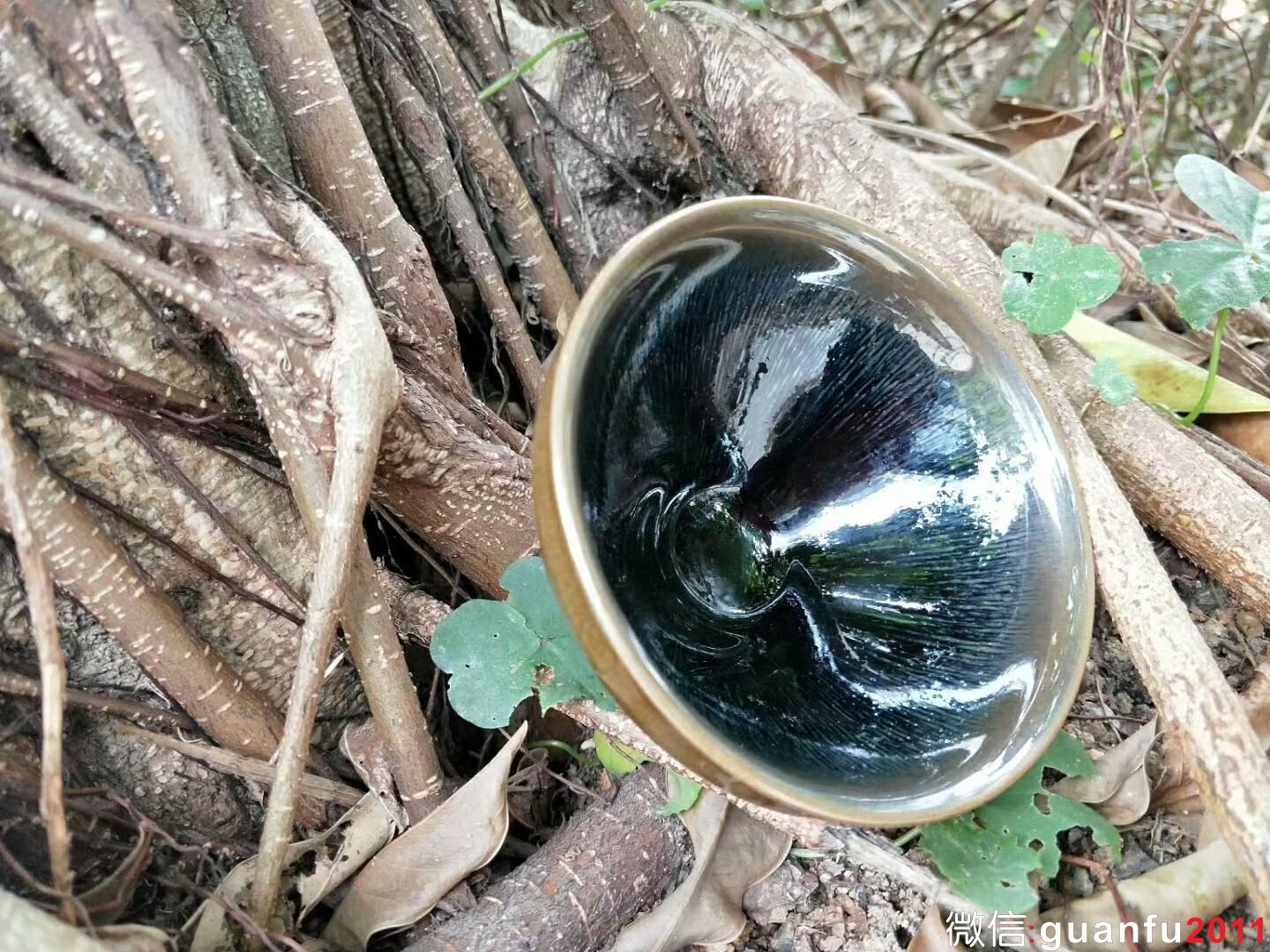 mmexport1524387840297