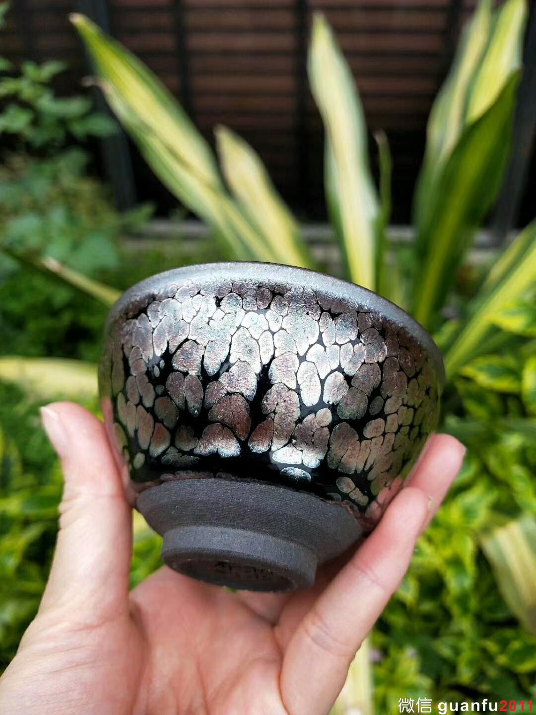 mmexport1524387933989