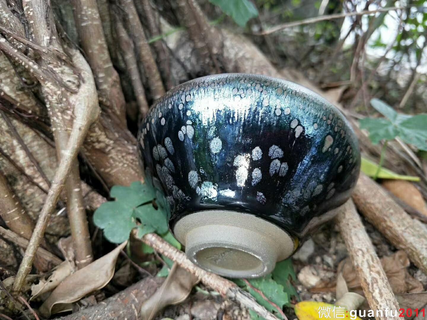 mmexport1524389637146