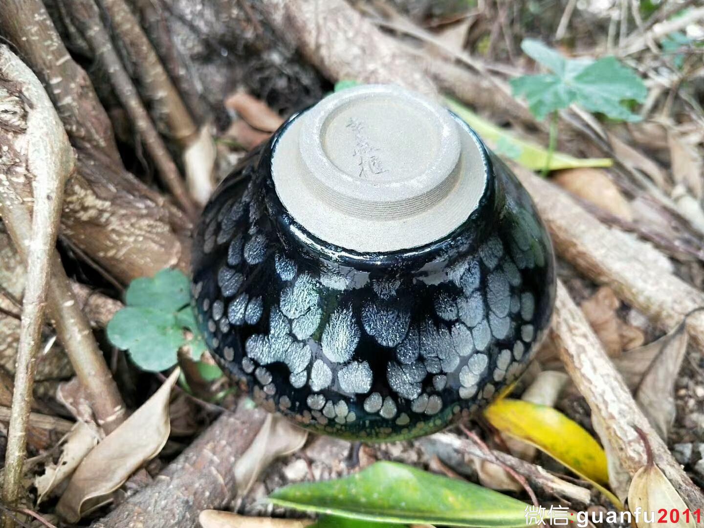 mmexport1524389657130