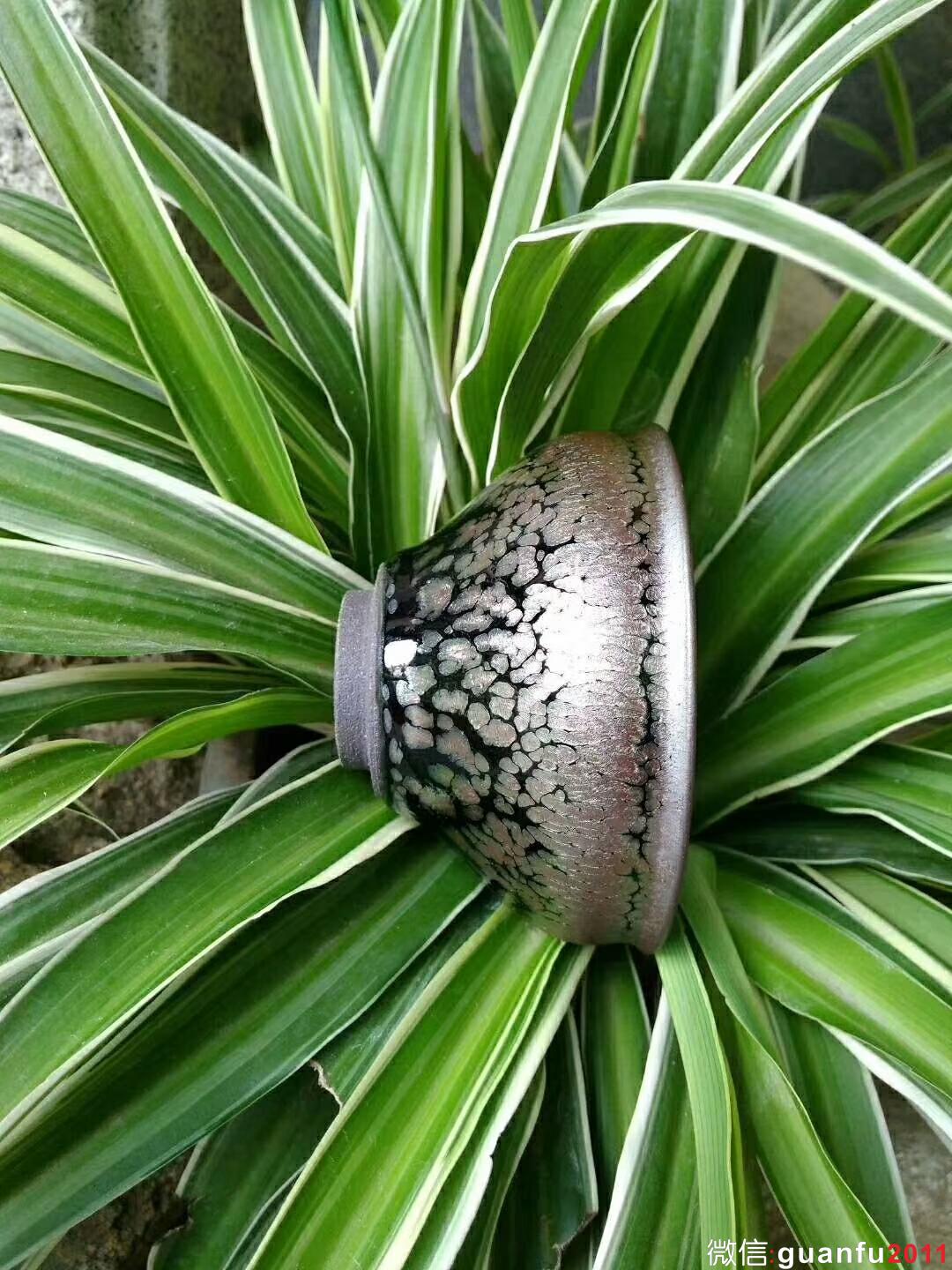 mmexport1524797353852