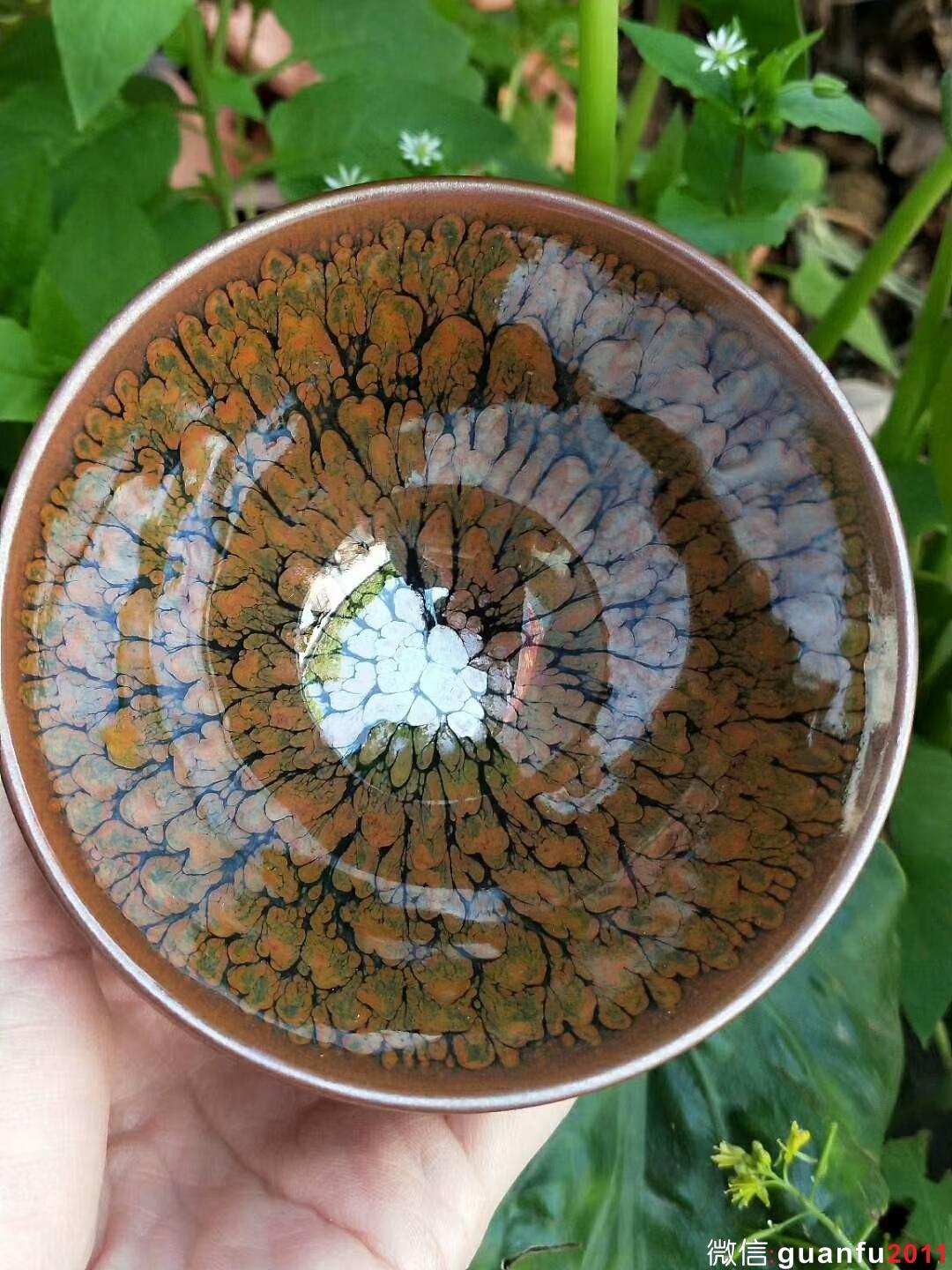 mmexport1524798052401