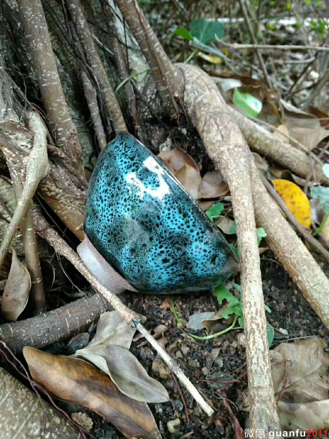 mmexport1524798445950