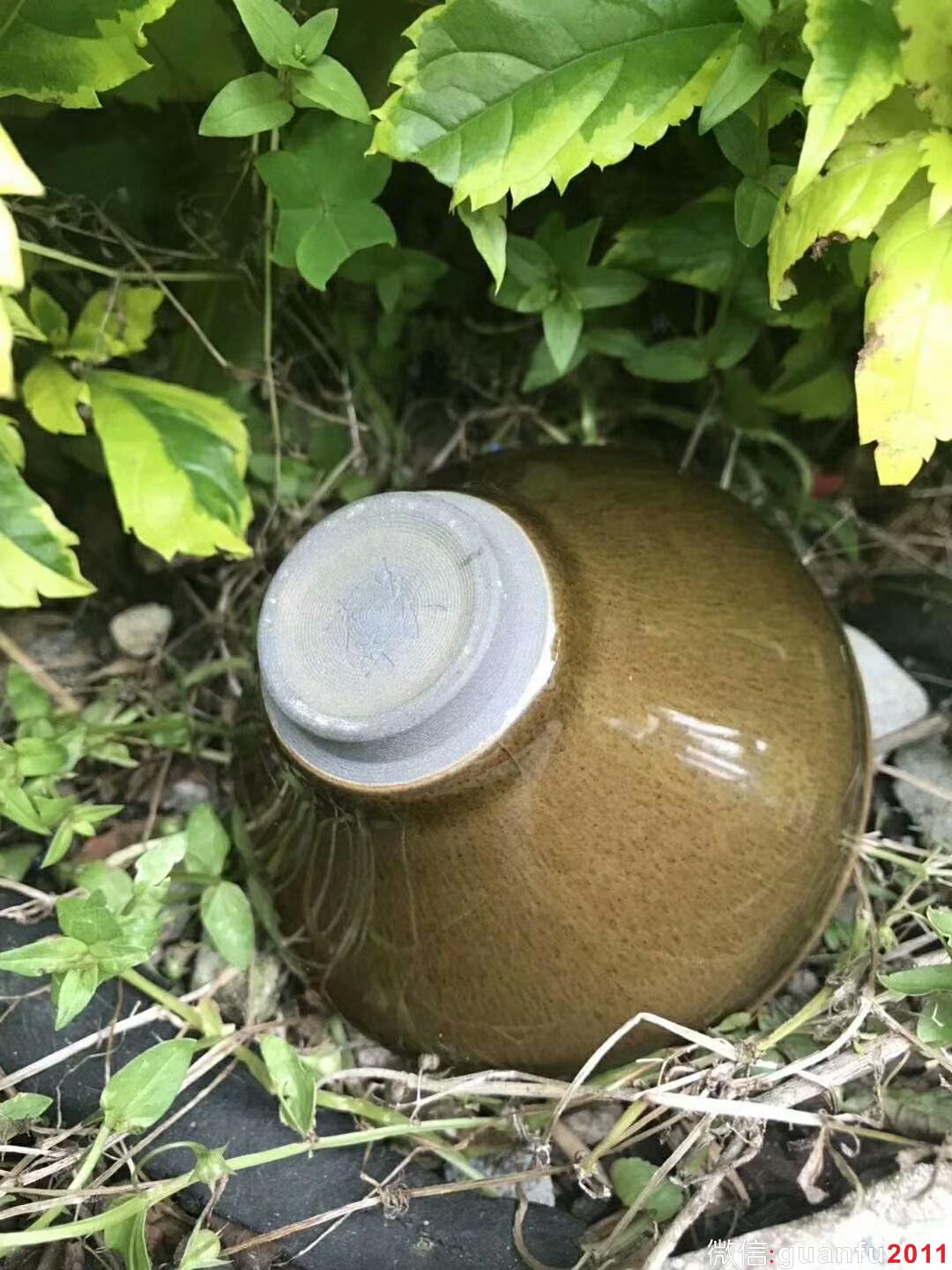 mmexport1524798659408