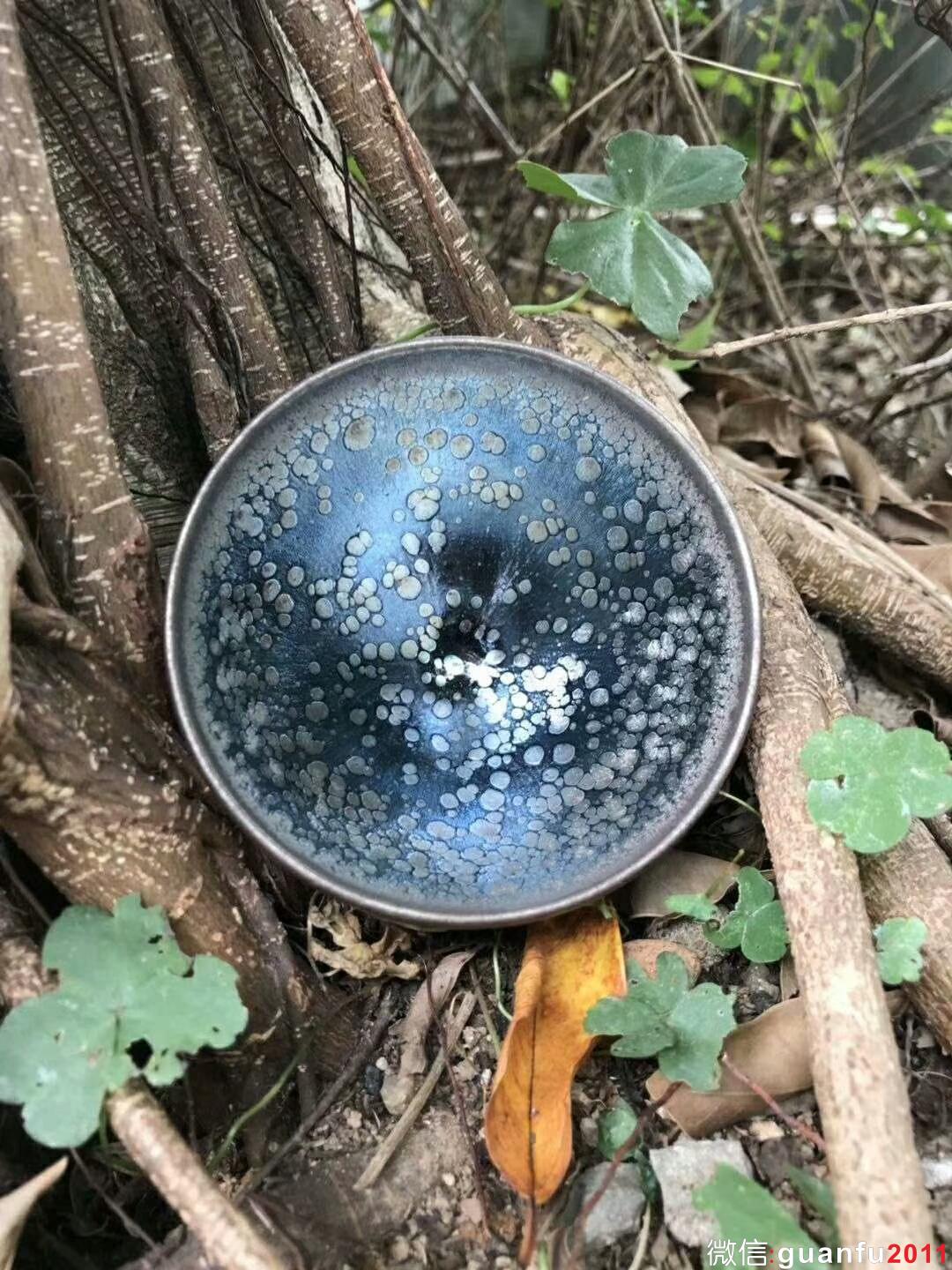 mmexport1524800045658