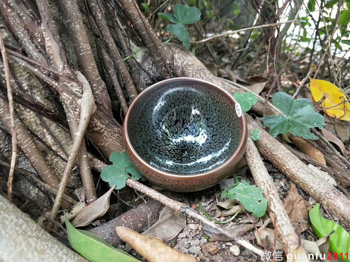 mmexport1524800595065