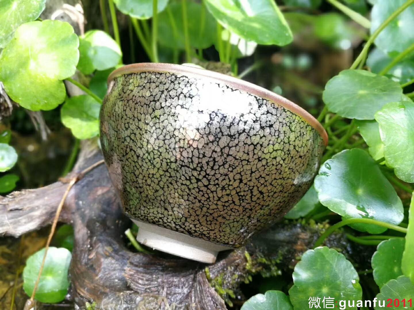 mmexport1524801811569