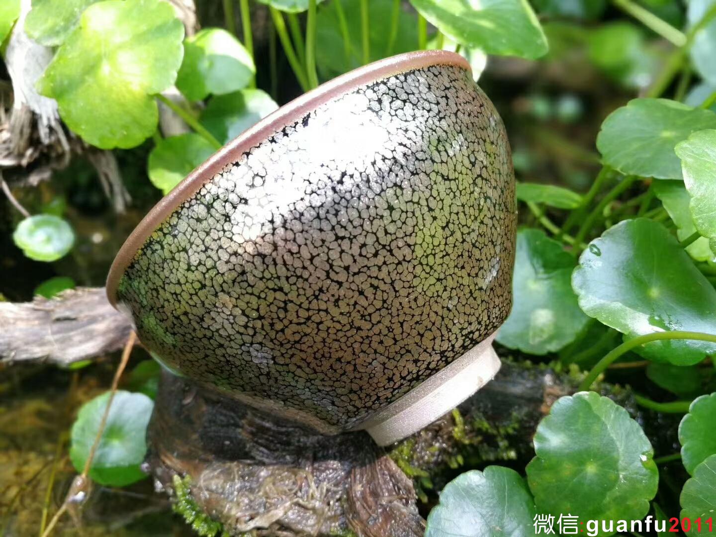 mmexport1524801814971