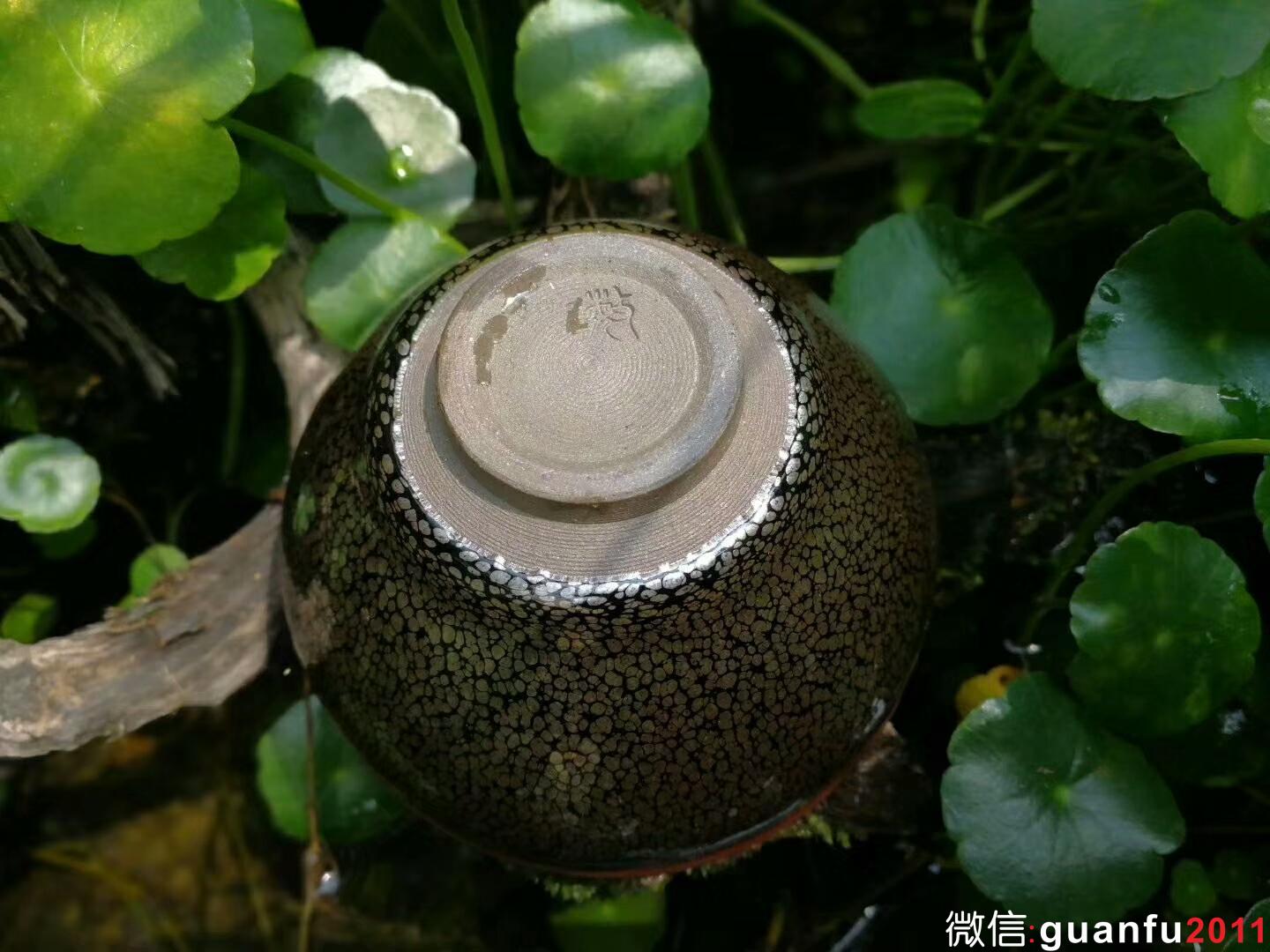 mmexport1524801818087