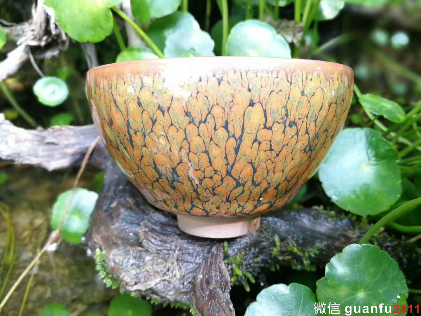 張家華老師 鷓鴣斑：口徑9*5.5