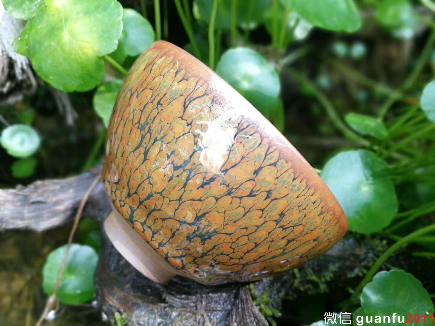 張家華老師 鷓鴣斑：口徑9*5.5