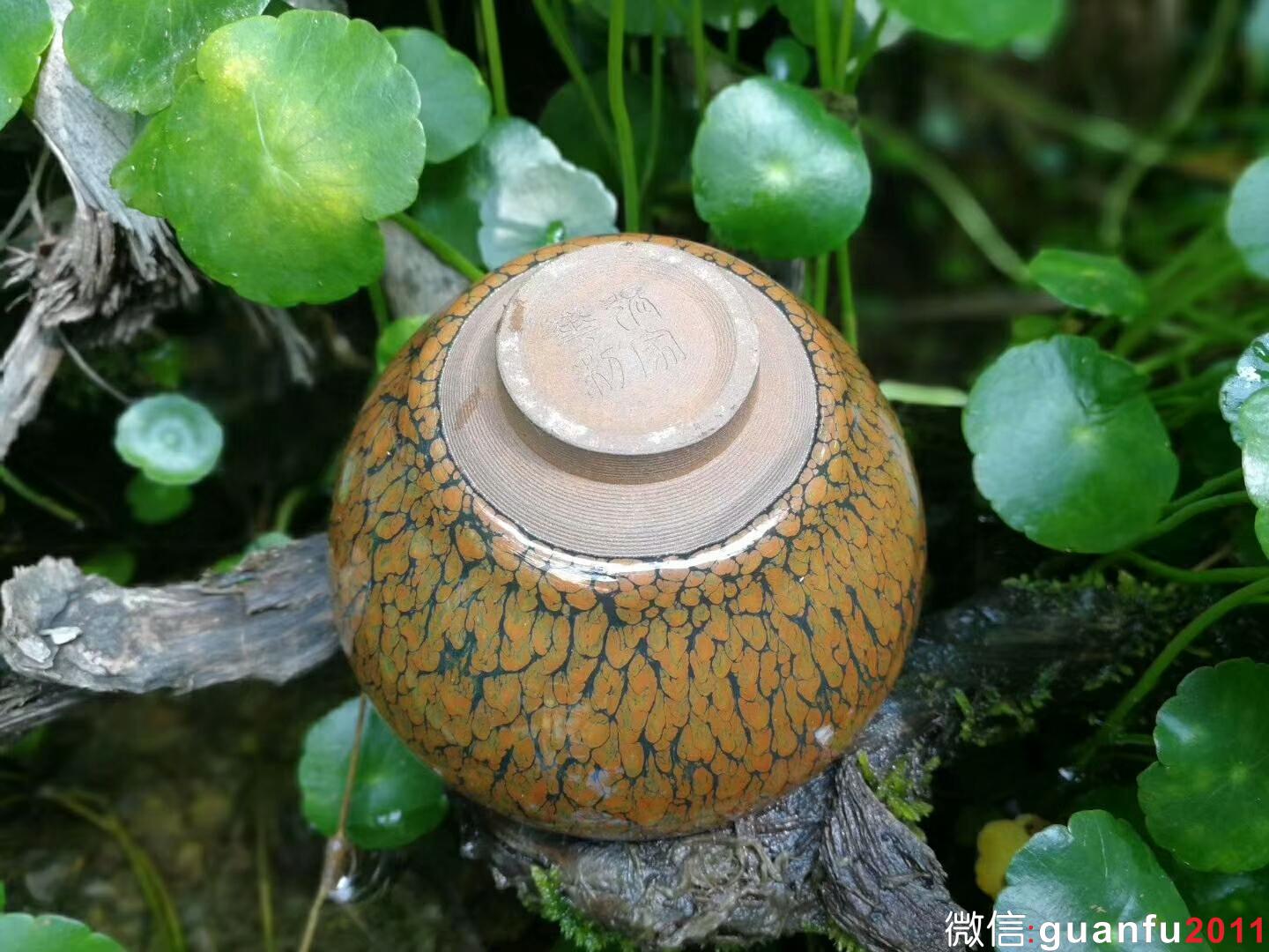 張家華老師 鷓鴣斑：口徑9*5.5