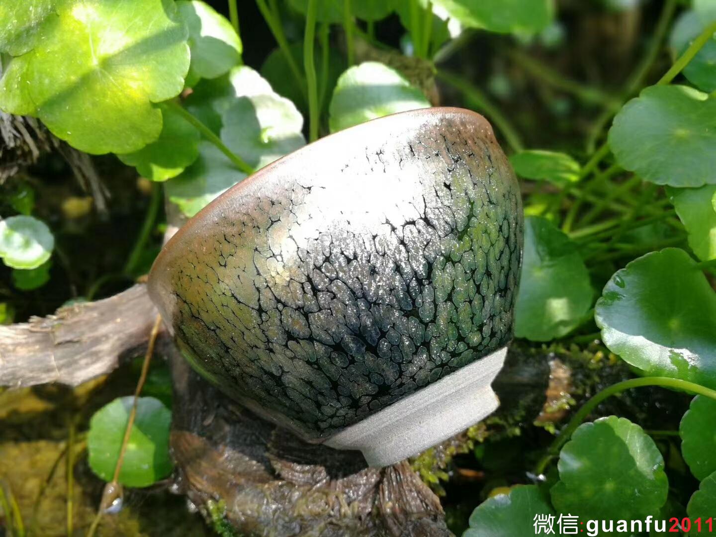 mmexport1524802747520