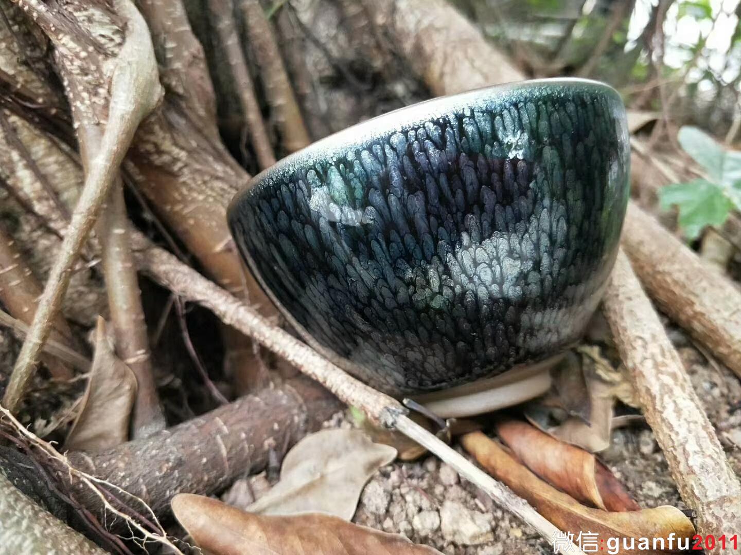 mmexport1525333998496