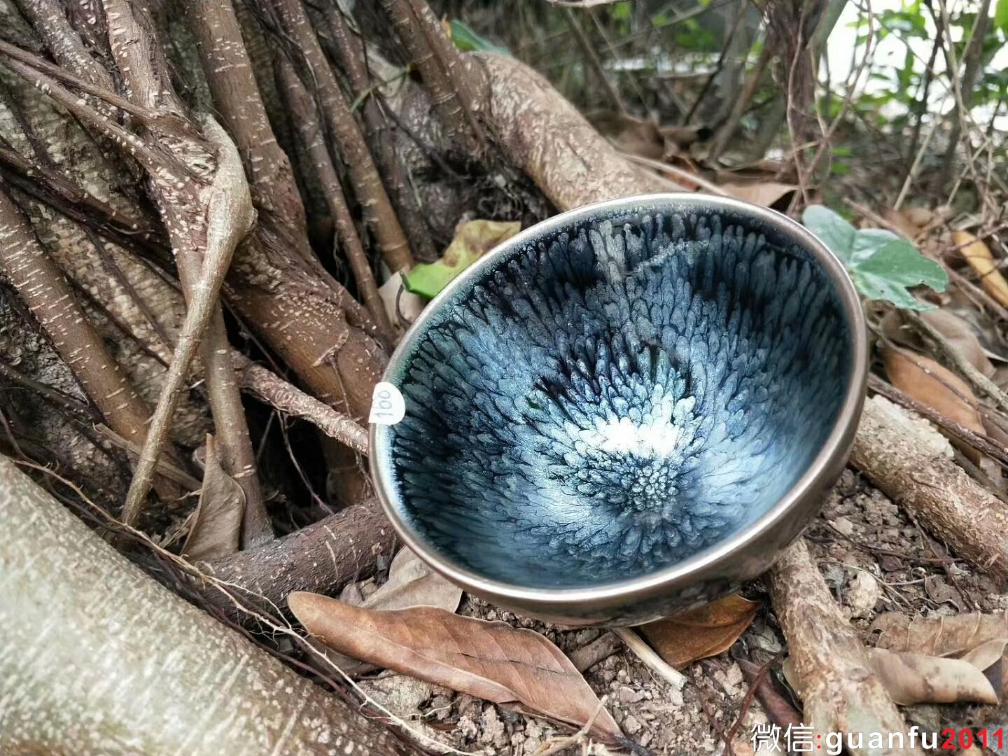 mmexport1525334002440